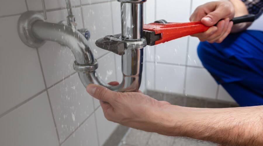 Leak Detection Services in Ponemah, MN